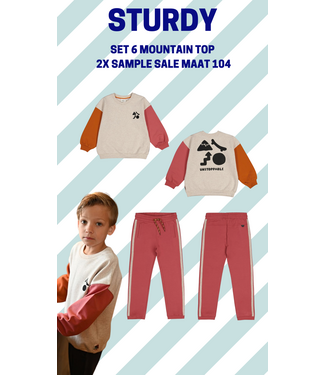Sturdy Set 6 Sample Sale Mountain Top 2x