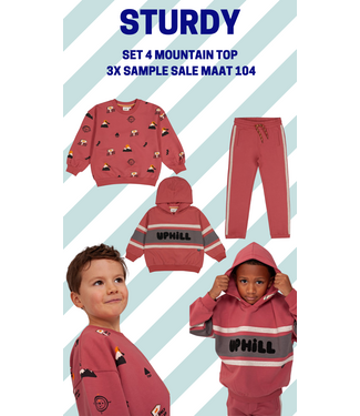 Sturdy Set 4 Sample Sale Mountain Top 3x