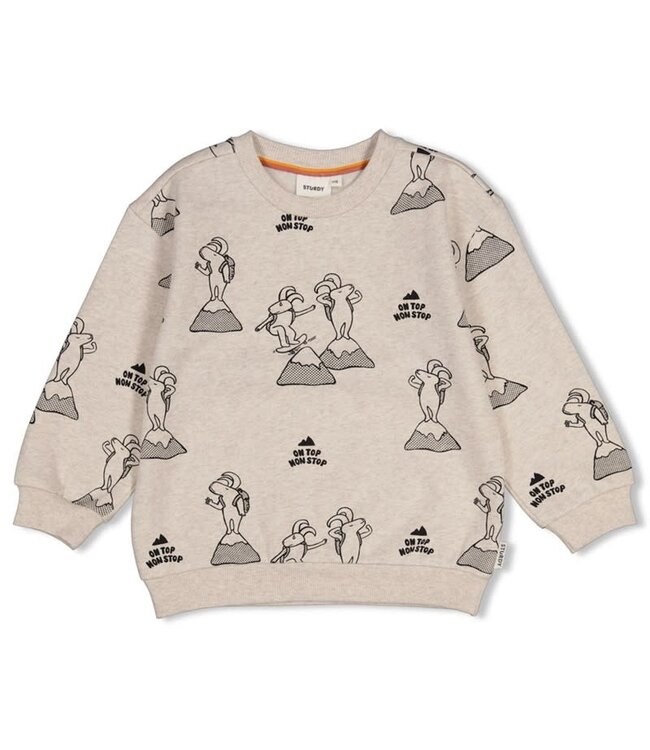 Sturdy Set 3 Sample Sale Mountain Top 3x