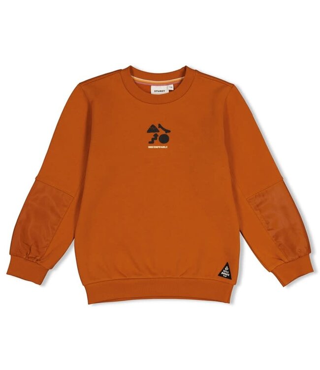 Sturdy Set 1 Sample Sale Mountain Top 2X