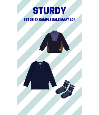 Sturdy Set 38 Sample Sale Rock the Earth 3X