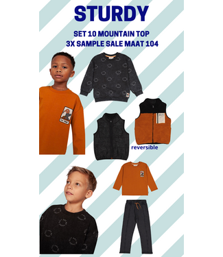 Sturdy Set 10 Sample Sale Mountain Top 3x