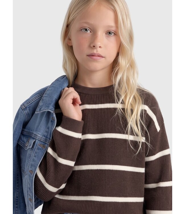 ONLY 15326339 KOGFRANCA LIFE SHORT L/S STRIPE KNT