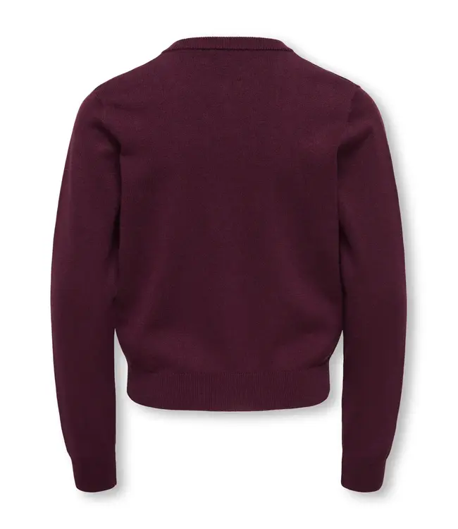 ONLY Copy of 15326339 KOGFRANCA LIFE SHORT L/S STRIPE KNT