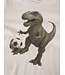 Name it mini 13238400 NMMVOTO LS NREG TOP Antique White / Di