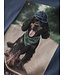 Name it mini 13238400 NMMVOTO LS NREG TOP Indigo/Skater Dog