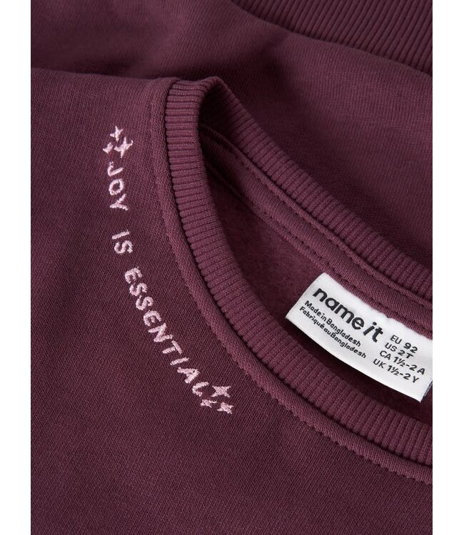 Name it mini NMFOKALA LS NREG SWE BRU PB 13256964 Mauve Wine