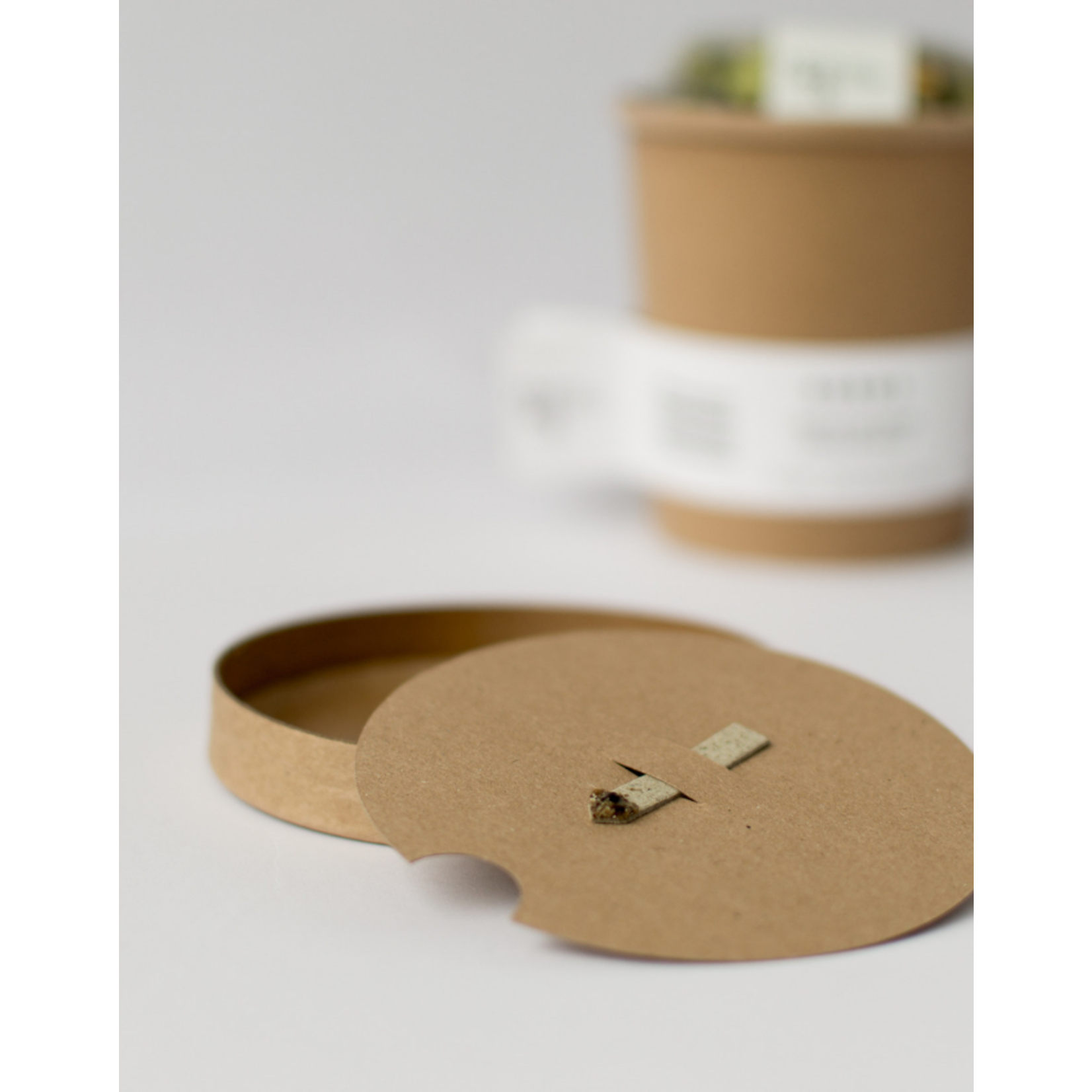 Rhoeco  Rhoeco tea & Plant-  Sea