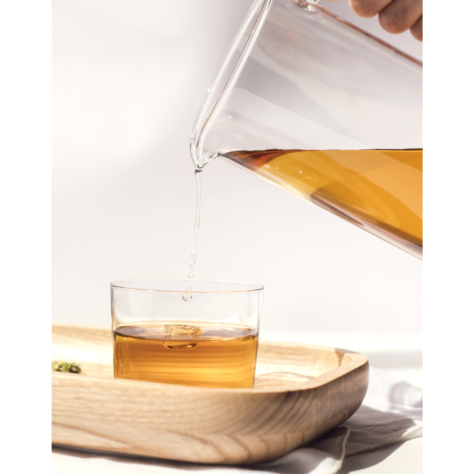 Rhoeco  Rhoeco thee & plant -  Sea