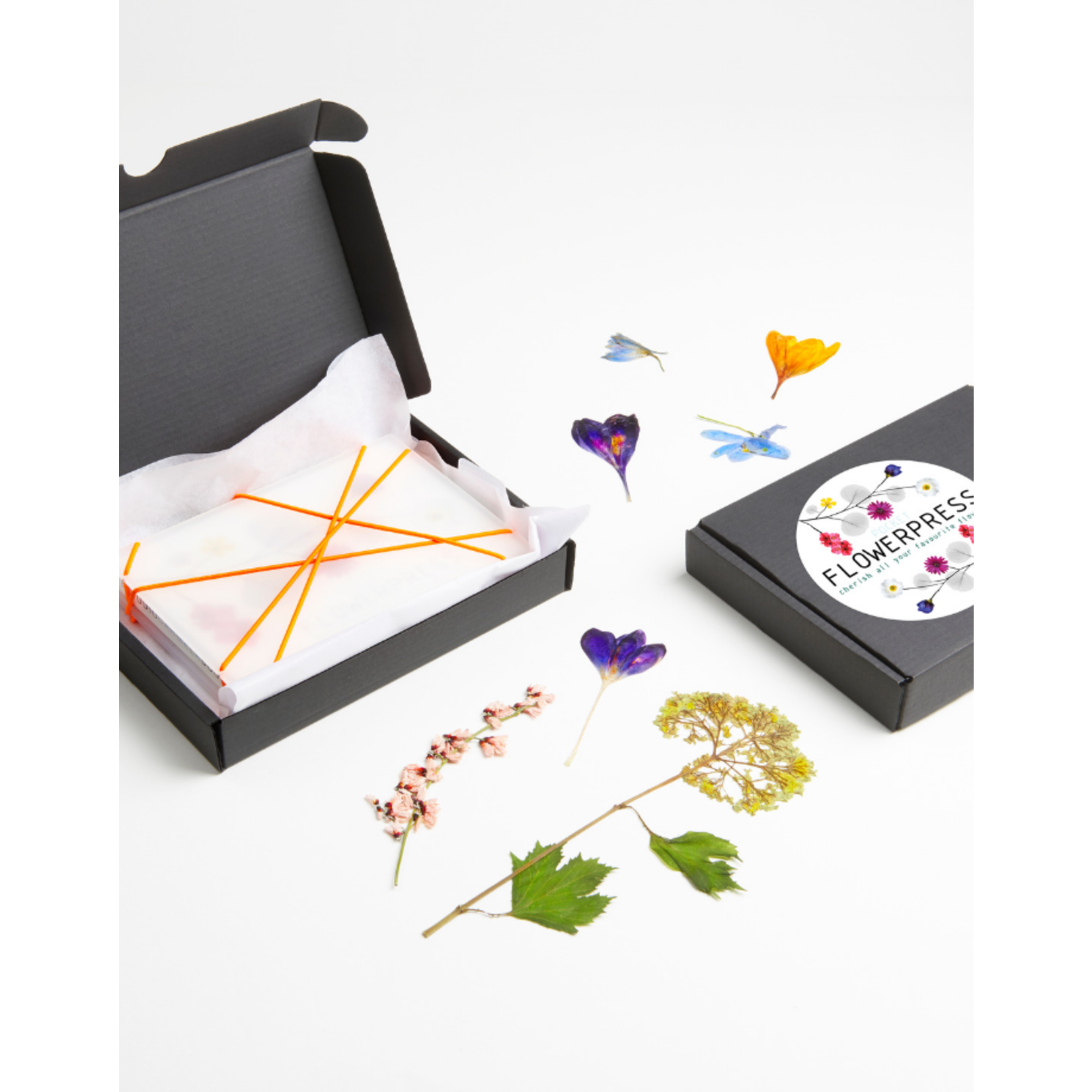 studio carmela bogman studio carmela bogman - pocket flowerpress- wit