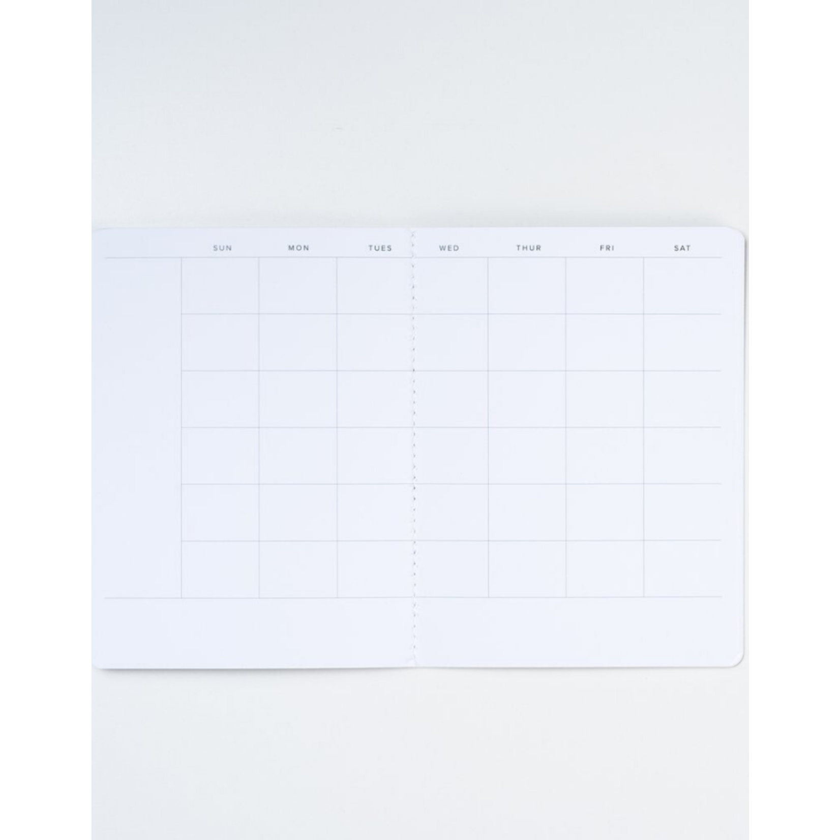 appointed appointed - monthly planner - large