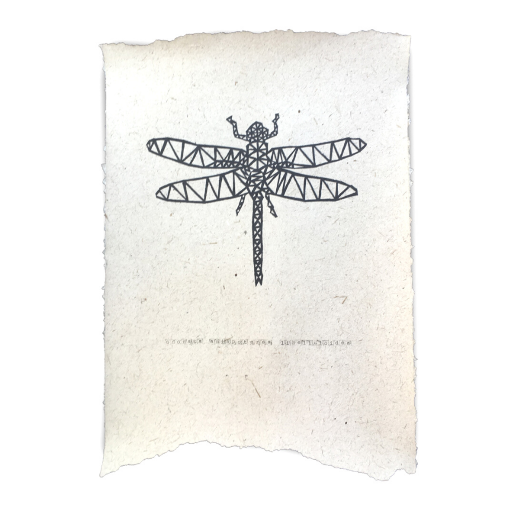 NADesign NADesign poster - libelle