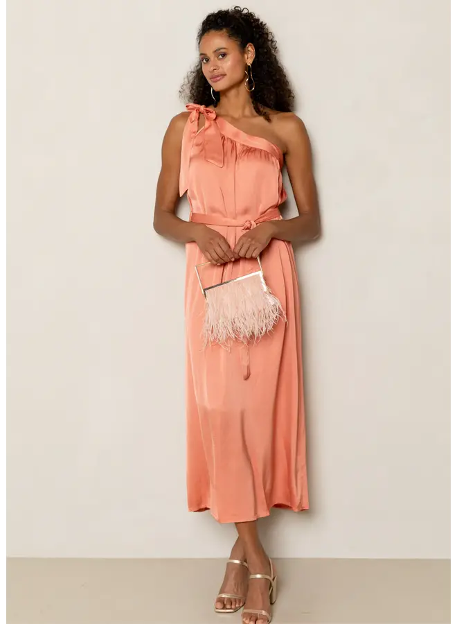 Dima Dress Orange Spring