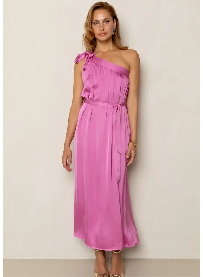 Dima Dress Begonia Pink