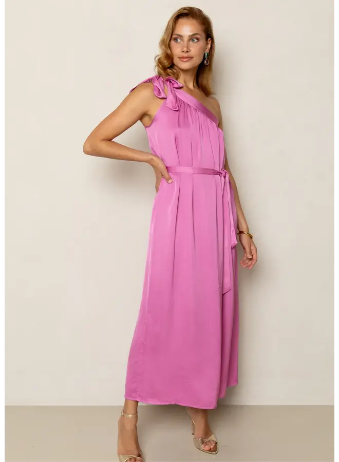 Dima Dress Begonia Pink