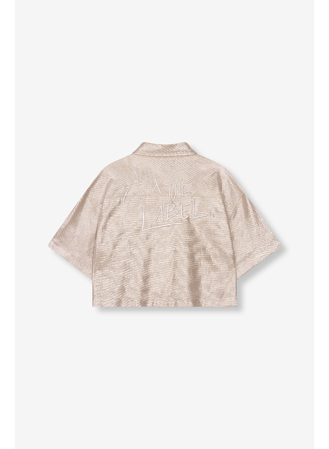Foil Cropped Blouse Silver