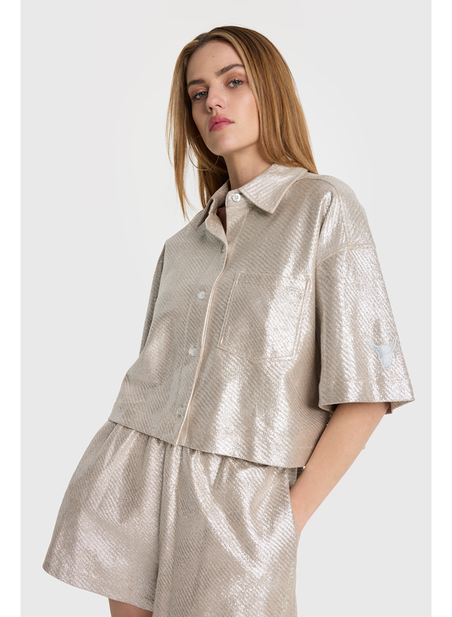 Foil Cropped Blouse Silver