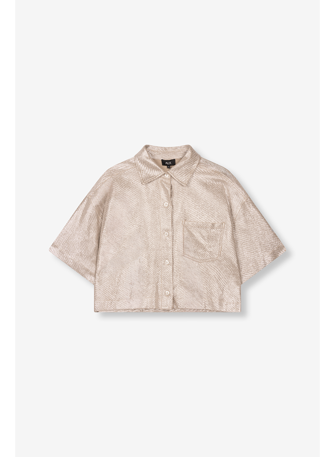 Foil Cropped Blouse Silver