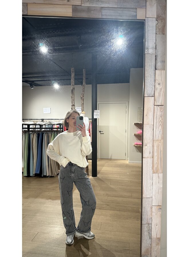 Damaged Bull Pants Grey Washed Denim