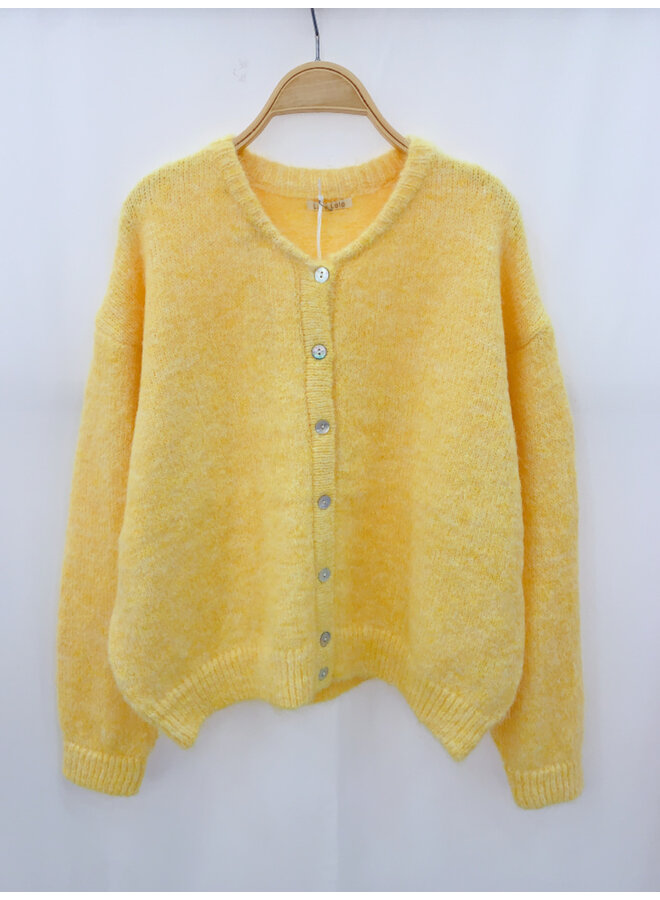 Gilet Yellow