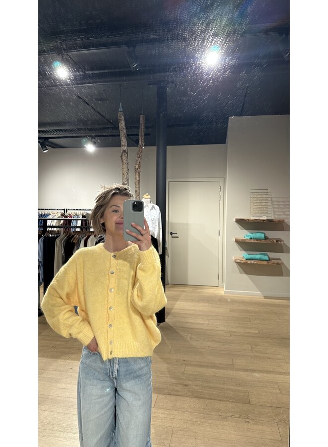 Gilet Yellow