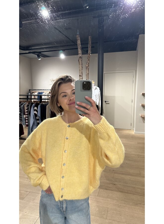 Gilet Yellow