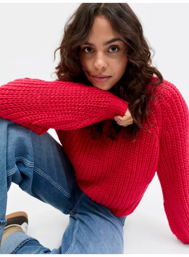 Kelly Chunky Crew Neck Barberry