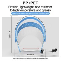 Medical Face shield 1 Holder and 10 screens