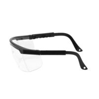 Goggles Regolabili Universali 10 pezzi