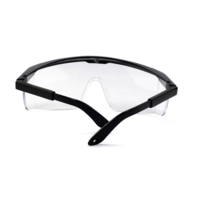 Goggles ajustables 10 piezas