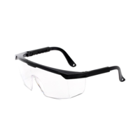 Goggles ajustables 10 piezas