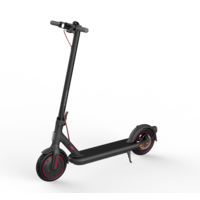 Electric Scooter 4 Pro EU