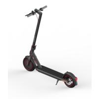 Scooter elettrico 4 Pro UE