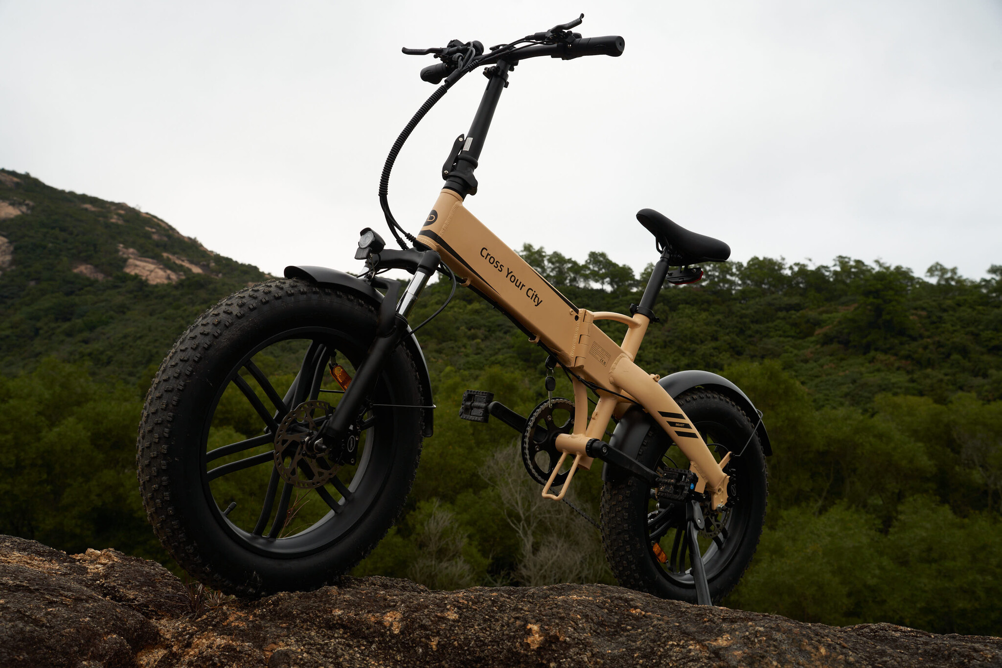 The Rise of Electric Bicycles and Fatbikes