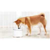 Smart Pet Fountain EU