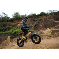 FatBike A20F Beast Sand