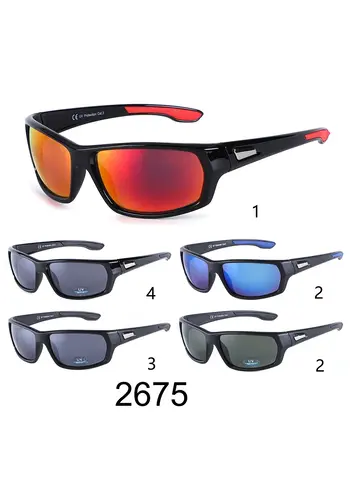  Visionmania 2675 Karton 12 Stk. 