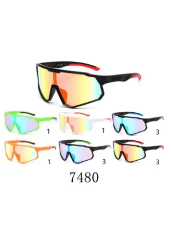  Visionmania 7480 Karton 12 Stk. 