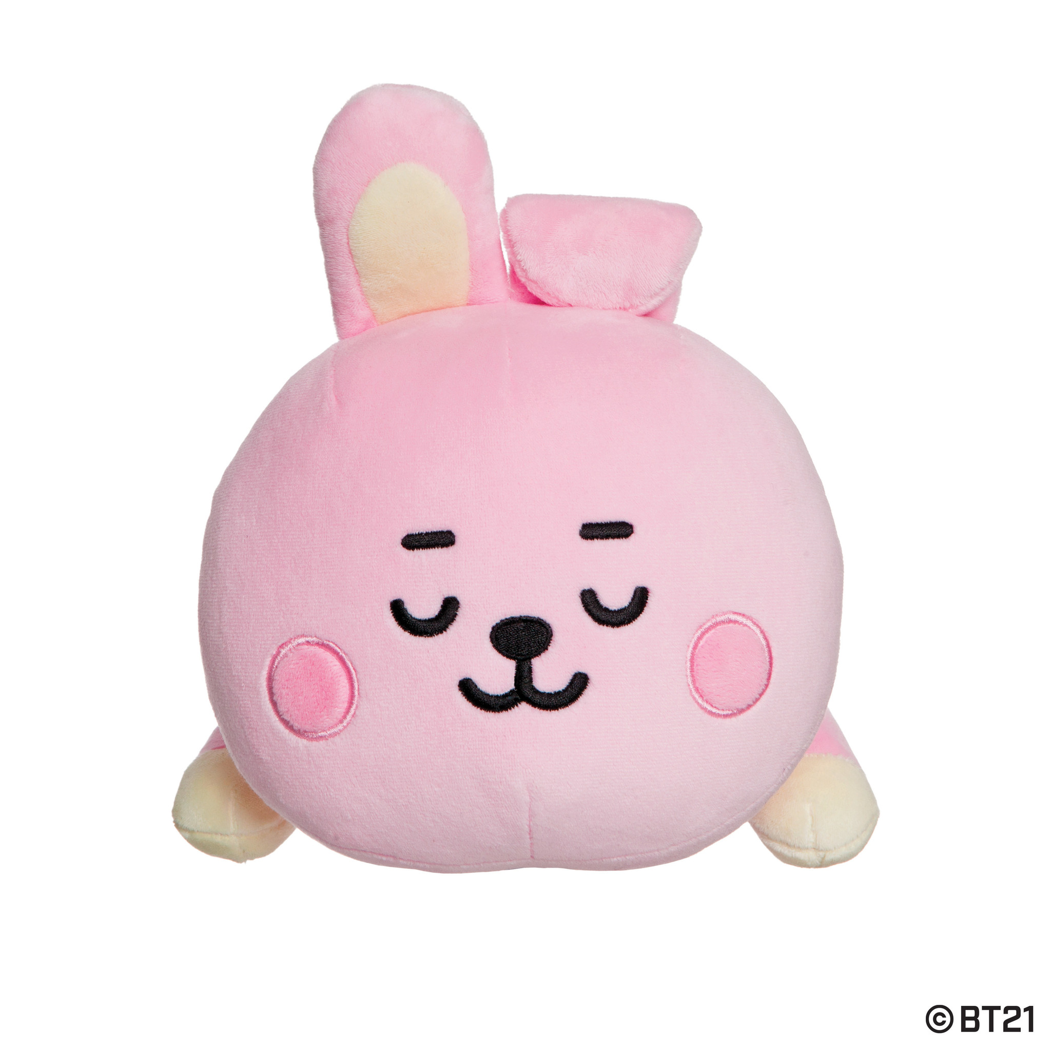 Cooky Baby Cushion Plush 28 Cm Cutestuff Nl