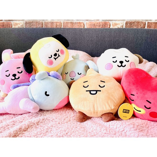 SHOOKY Baby cushion plush 28 cm