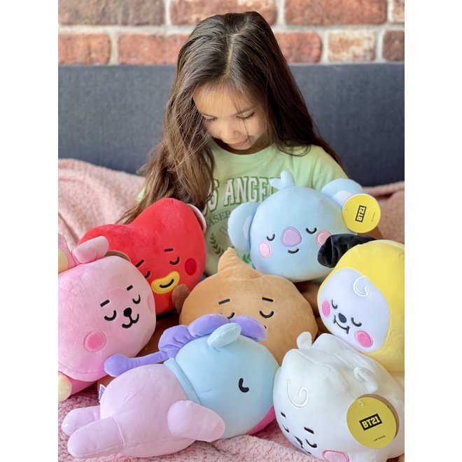 SHOOKY Baby cushion plush 28 cm