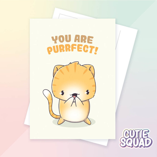 Postcard - You are purrfect