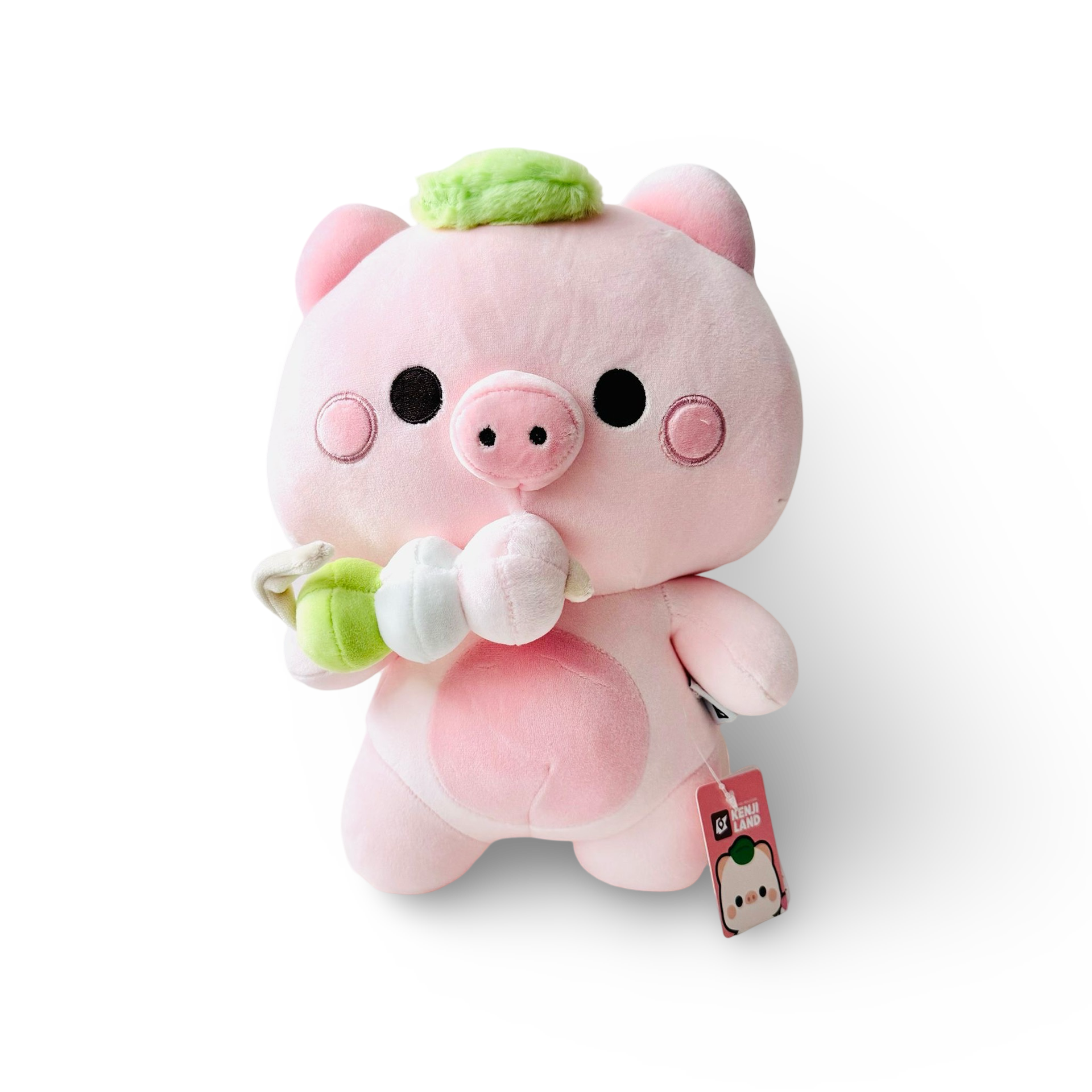 Kenji Varken knuffel - KLAND DANGO - JI - 30 cm