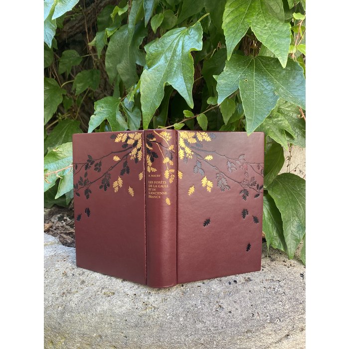 Maury (Alfred)  Maury (Alfred)  - les Forêts de la Gaule