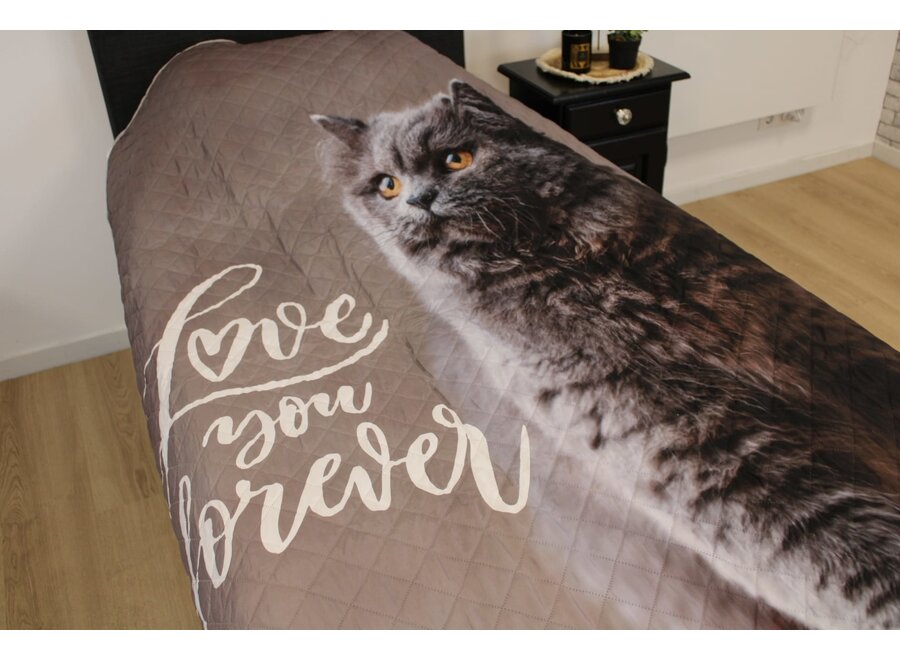 Sprei Kat love forever - 1-persoons