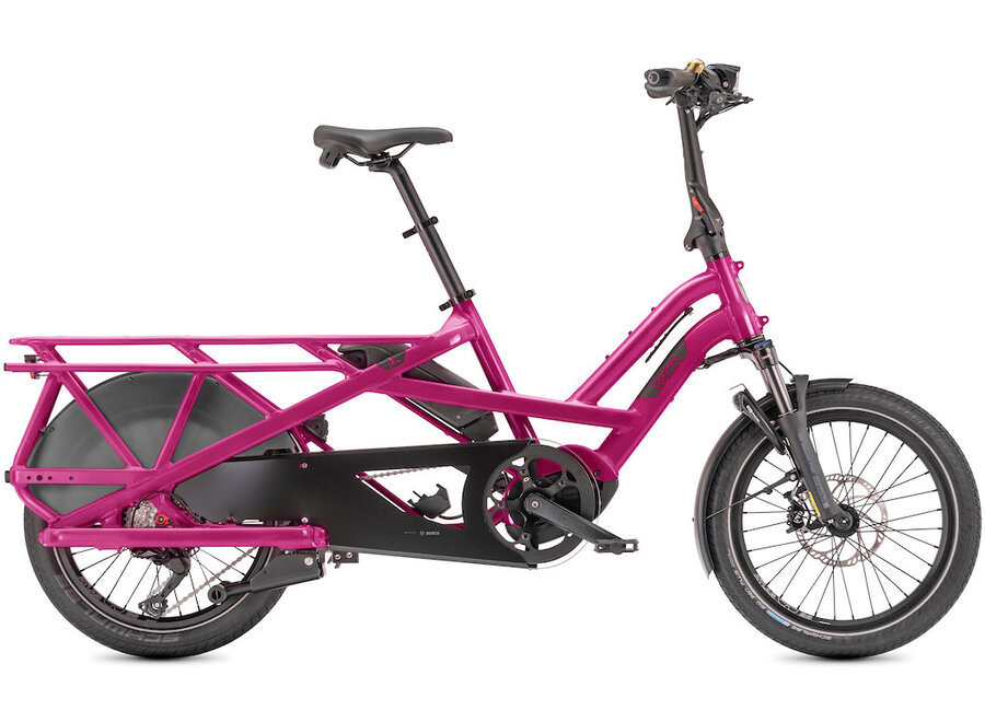 GSD S10 LR + 1 Year FREE Servicing Dragon Fruit