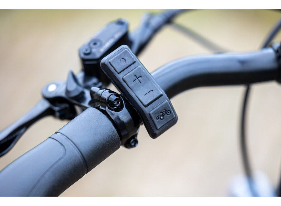 Easy Rider Compact Tricycle Wine Red Matt