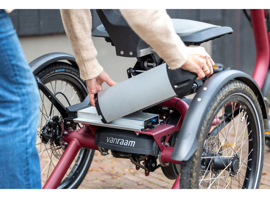 Easy Rider Compact Tricycle Wine Red Matt