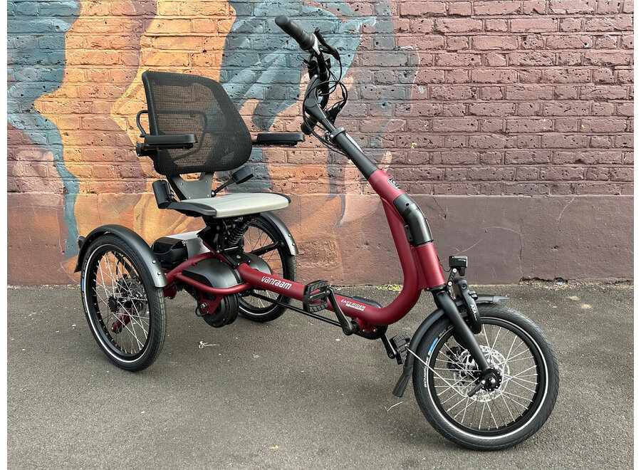 Demo Easy Rider Compact Tricycle Wine Red Matt