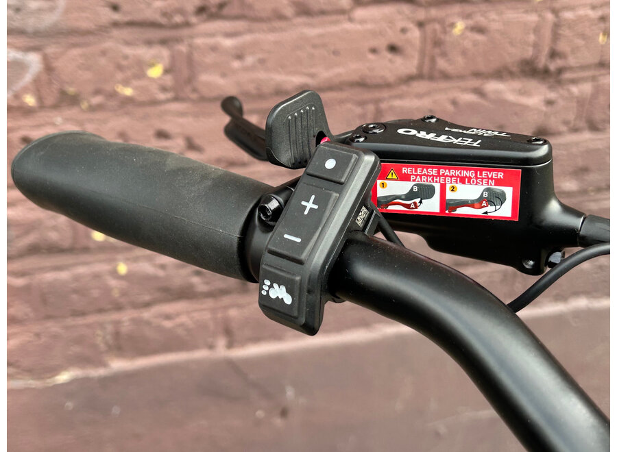 Demo Easy Rider Compact Tricycle Wine Red Matt